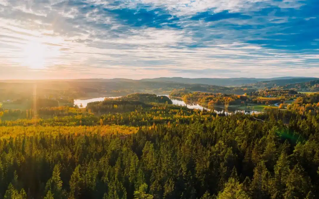 Unik satsning där både läsare och annonsörer stormtrivs tillsammans