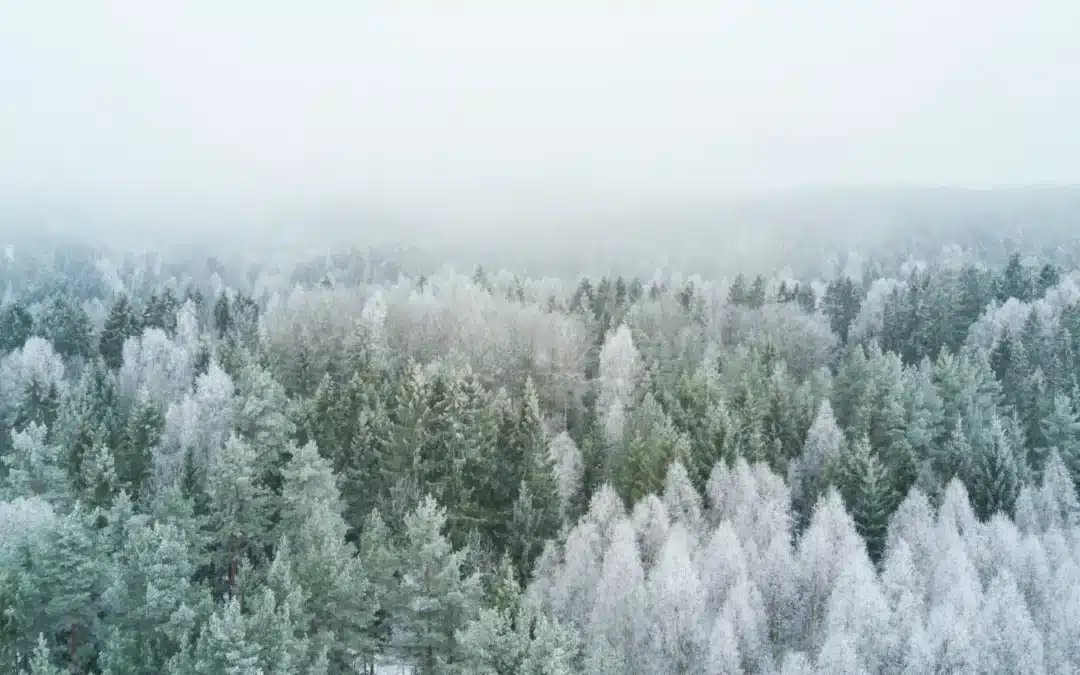 Så preppar du ditt varumärke inför en tuff vinter